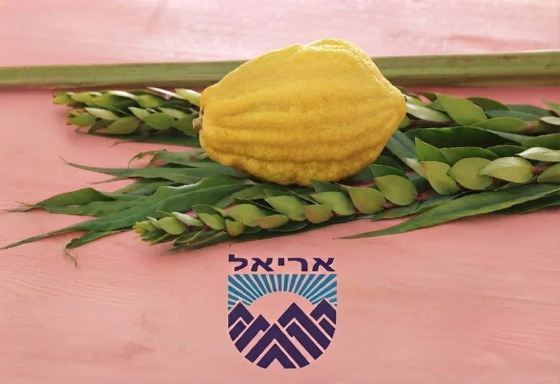 🍋🌿 חג הסוכות מתקרב אלינו לטובה!